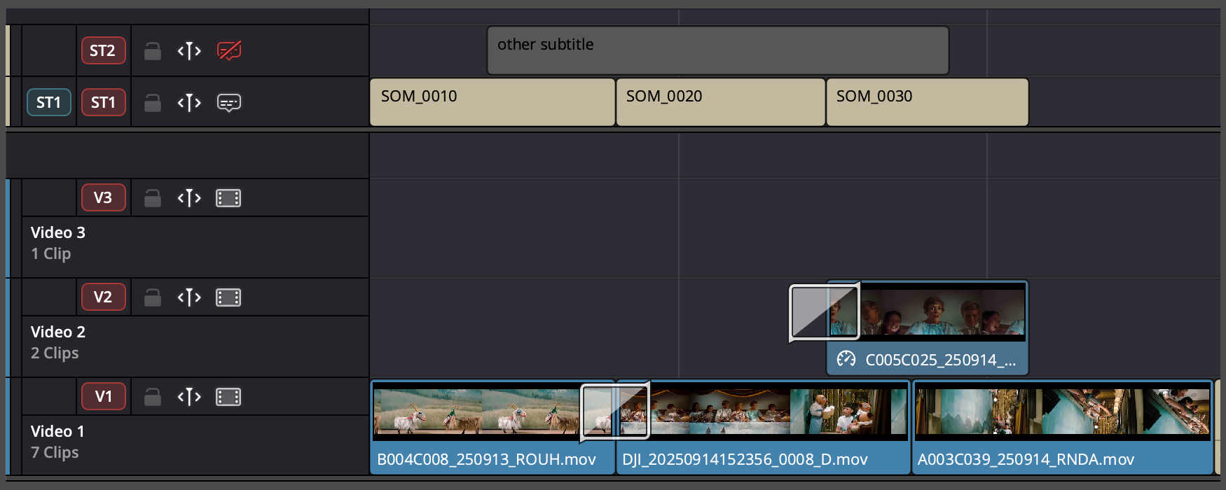 Subtitle Track